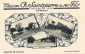 Oran Pub vins 113